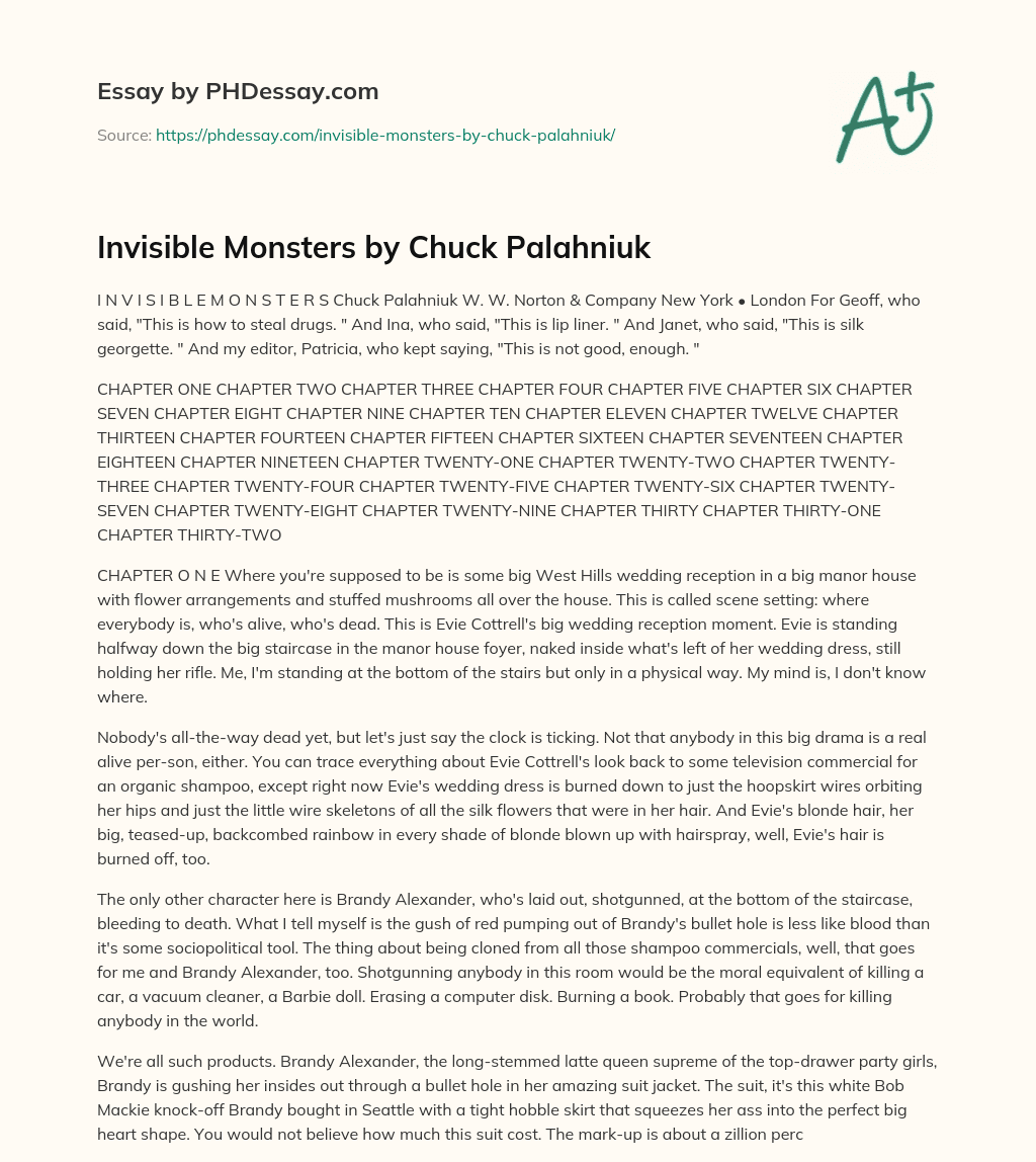 Invisible Monsters by Chuck Palahniuk essay