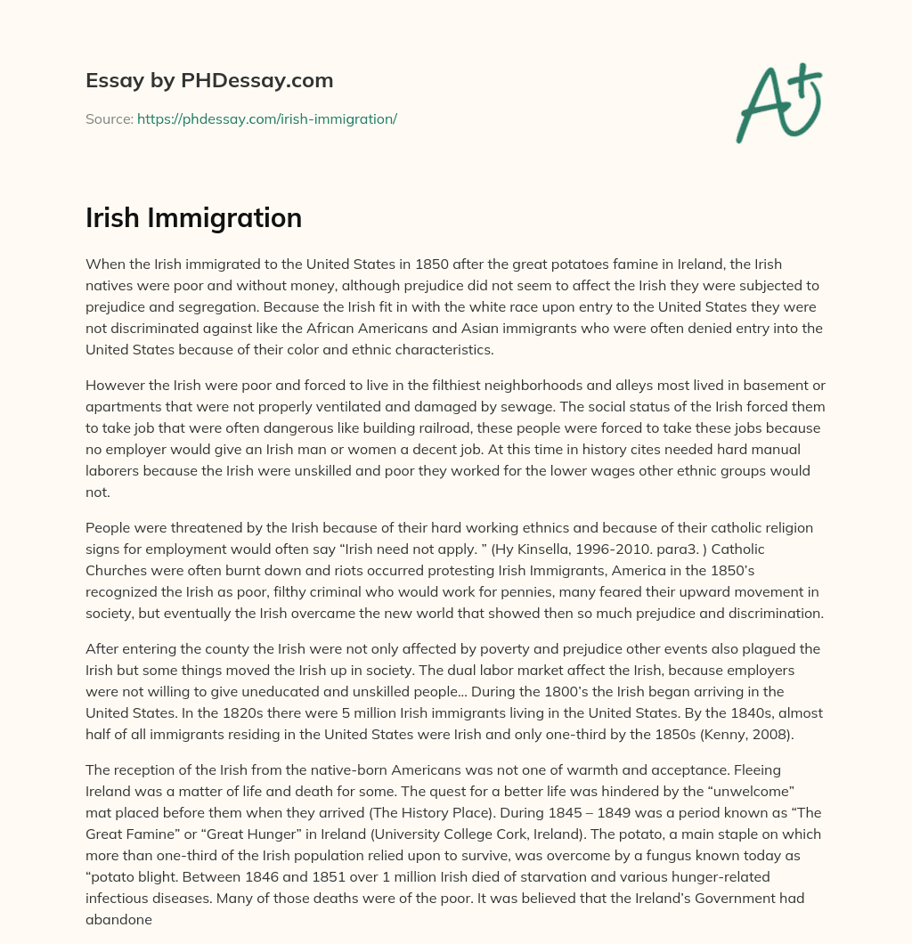 Irish Immigration essay