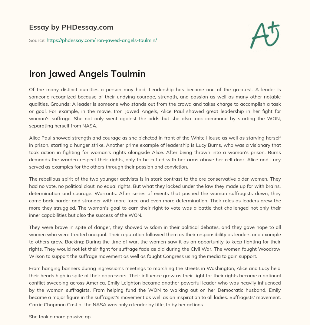 Iron Jawed Angels Toulmin essay