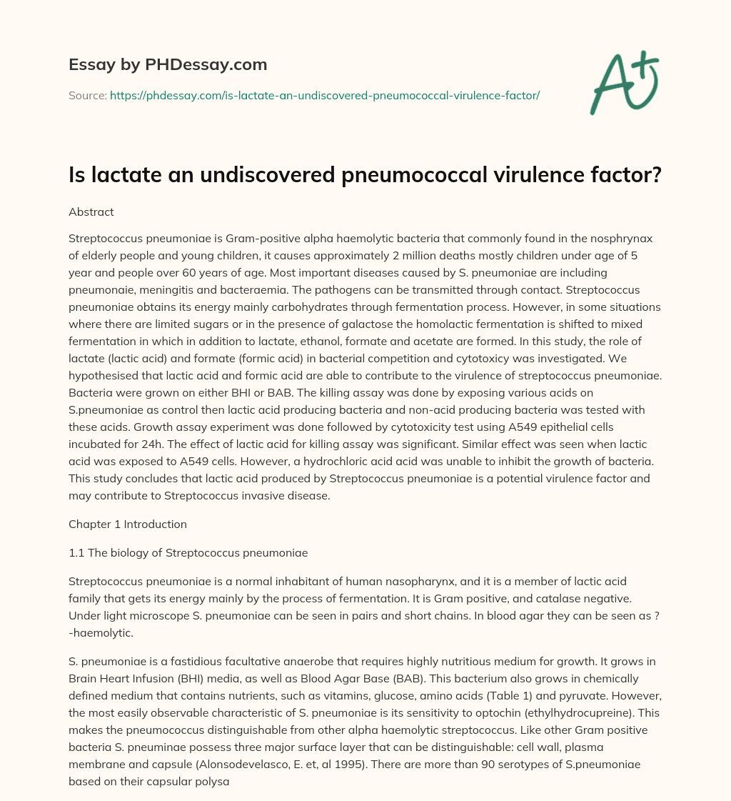 Is lactate an undiscovered pneumococcal virulence factor? essay