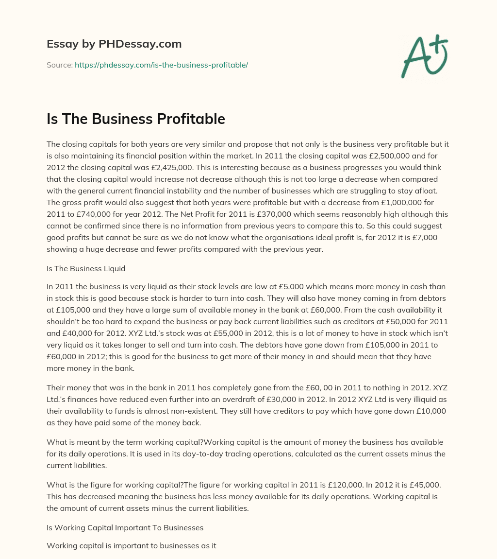 Is The Business Profitable essay