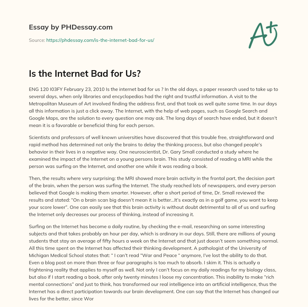 Is the Internet Bad for Us? essay