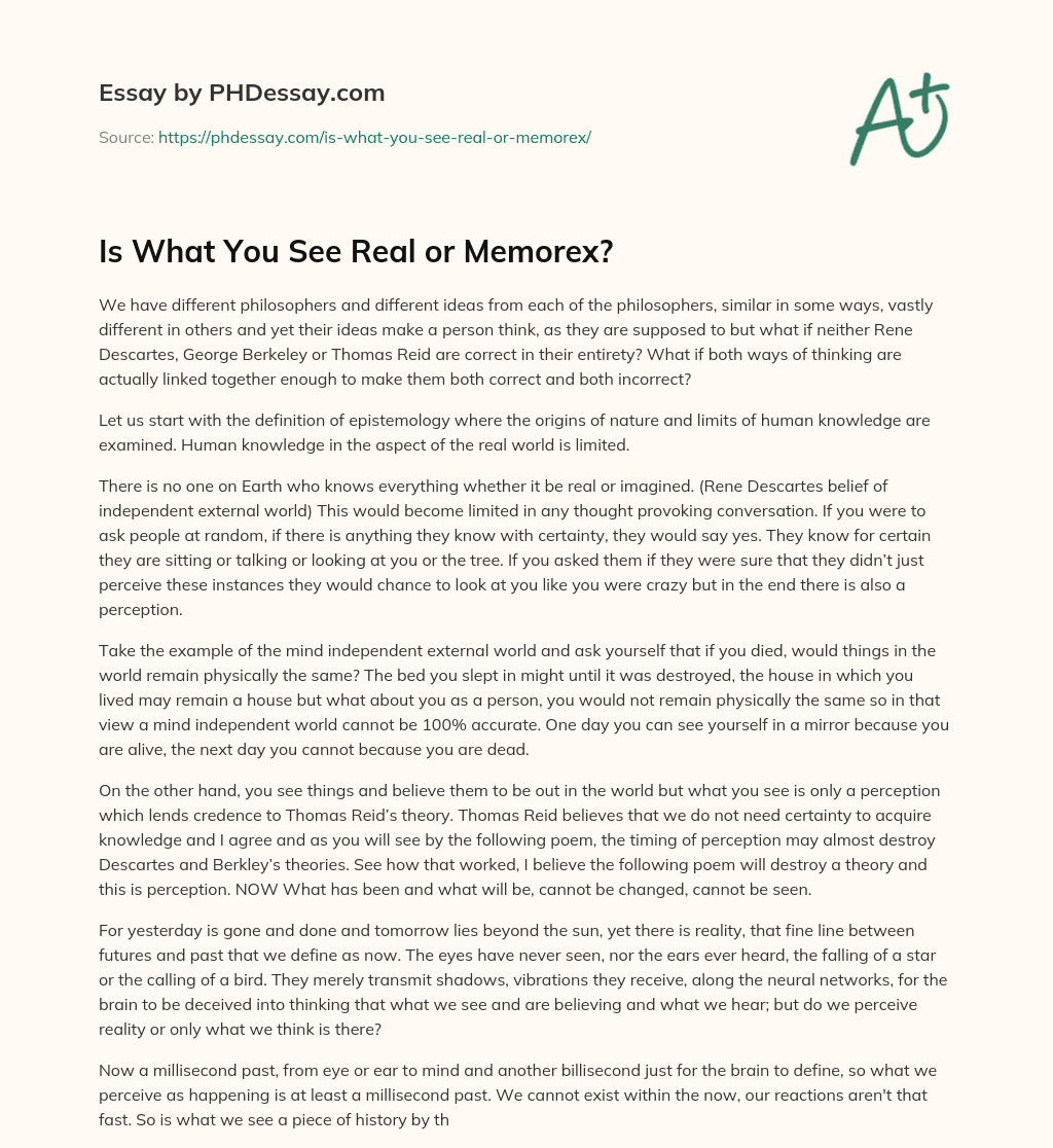 Is What You See Real or Memorex? essay
