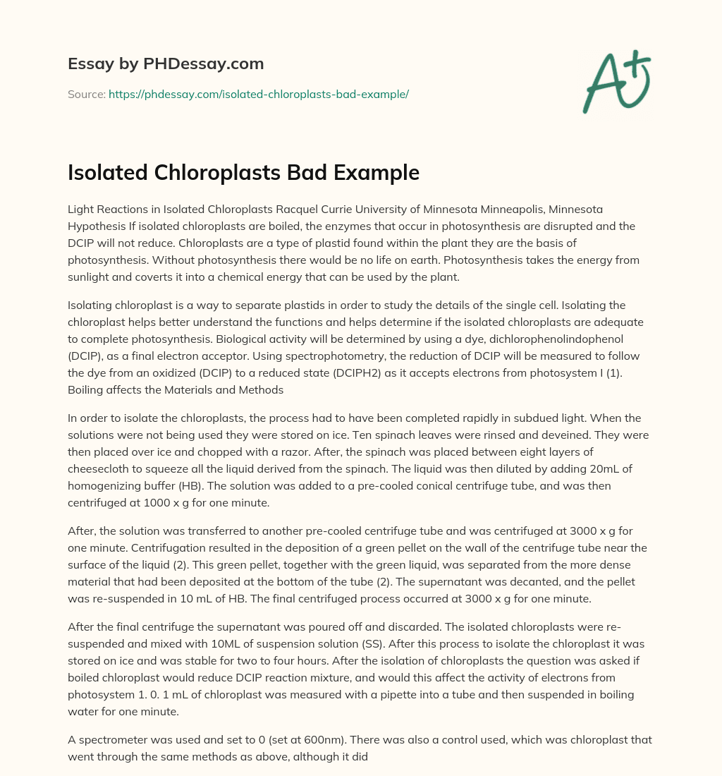Isolated Chloroplasts Bad Example essay