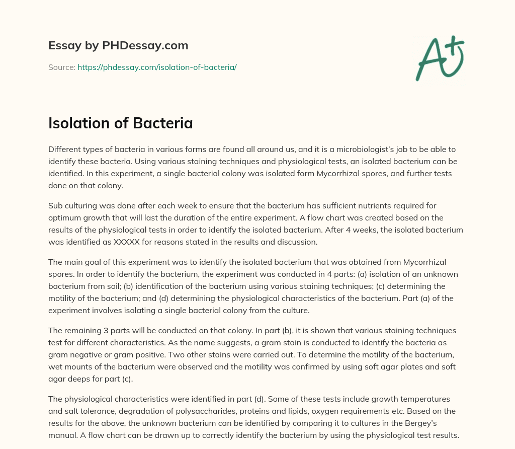 Isolation of Bacteria essay