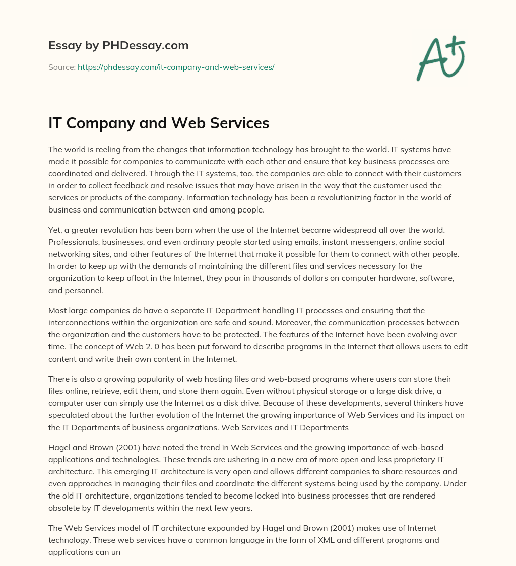 IT Company and Web Services essay