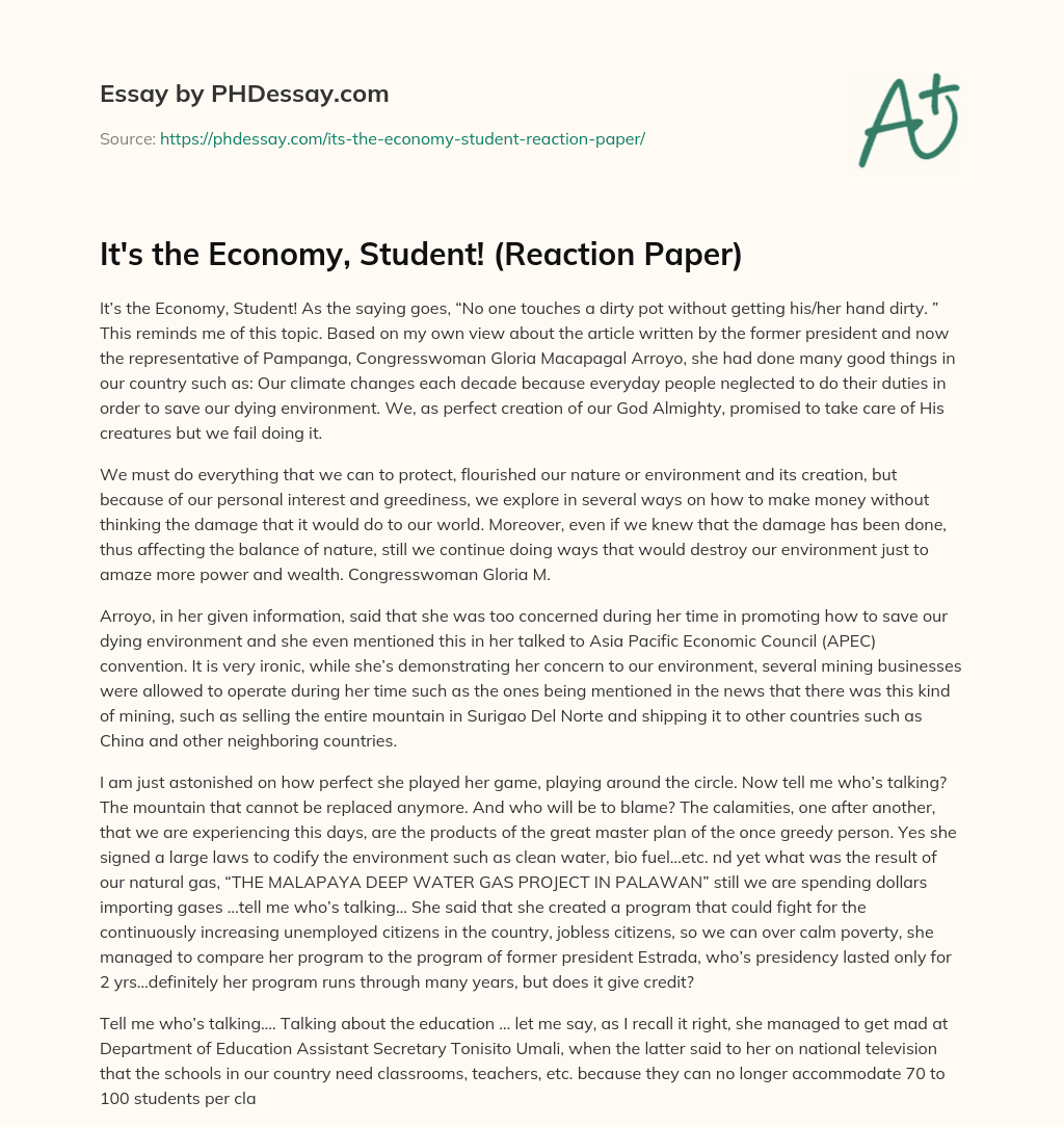It’s the Economy, Student! (Reaction Paper) essay