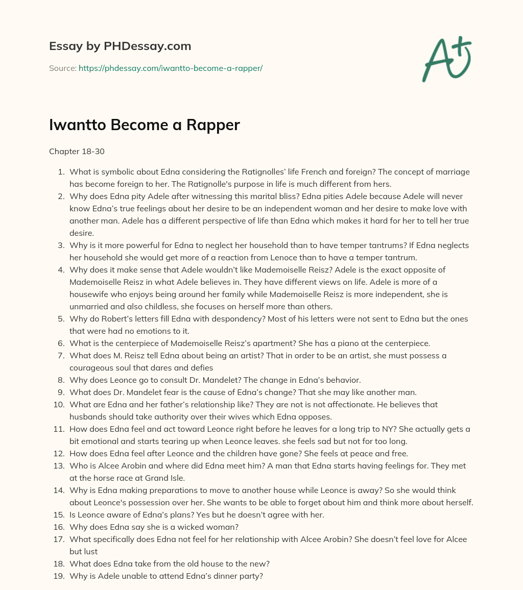 Iwantto Become a Rapper essay