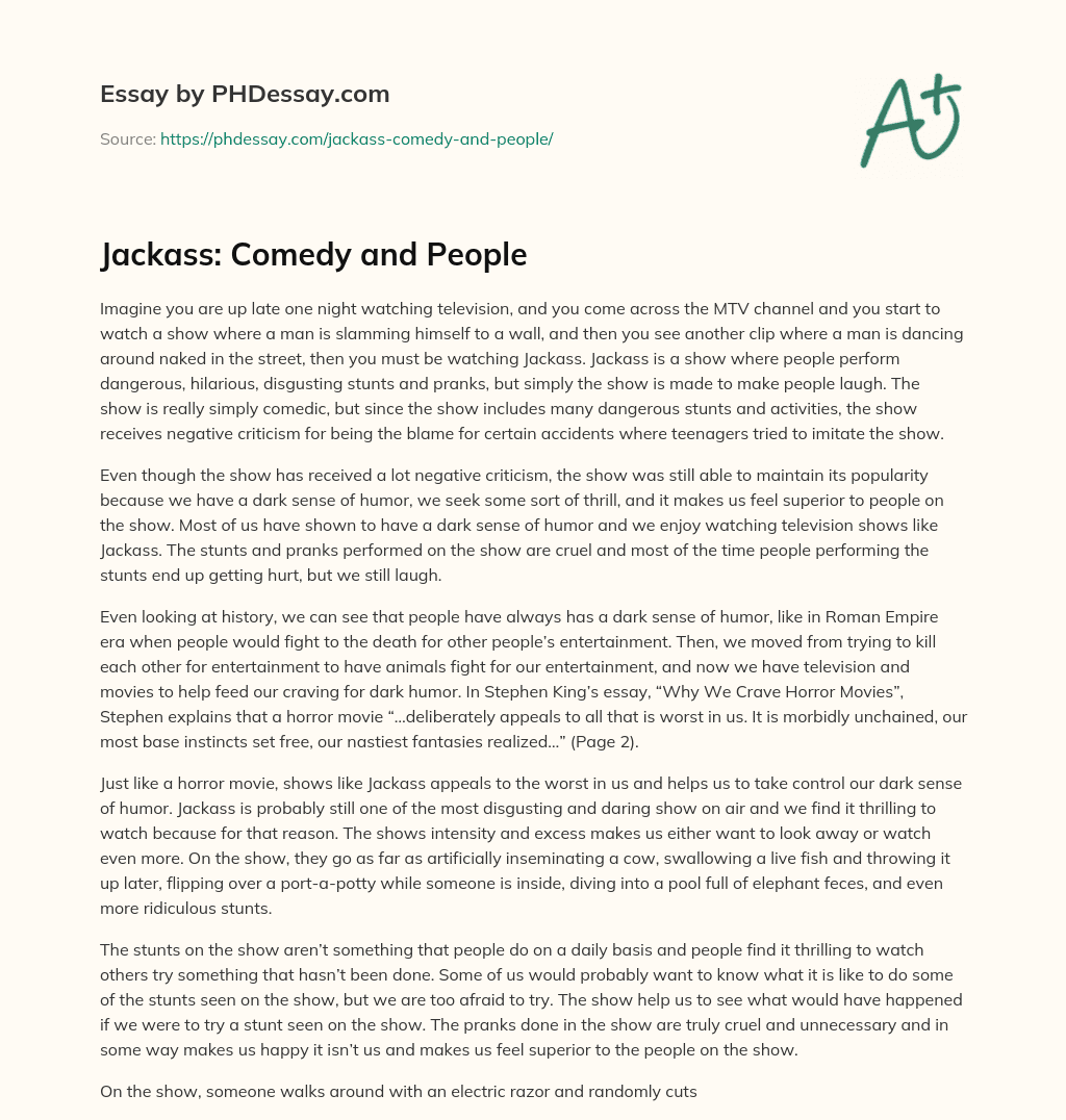 Jackass: Comedy and People essay