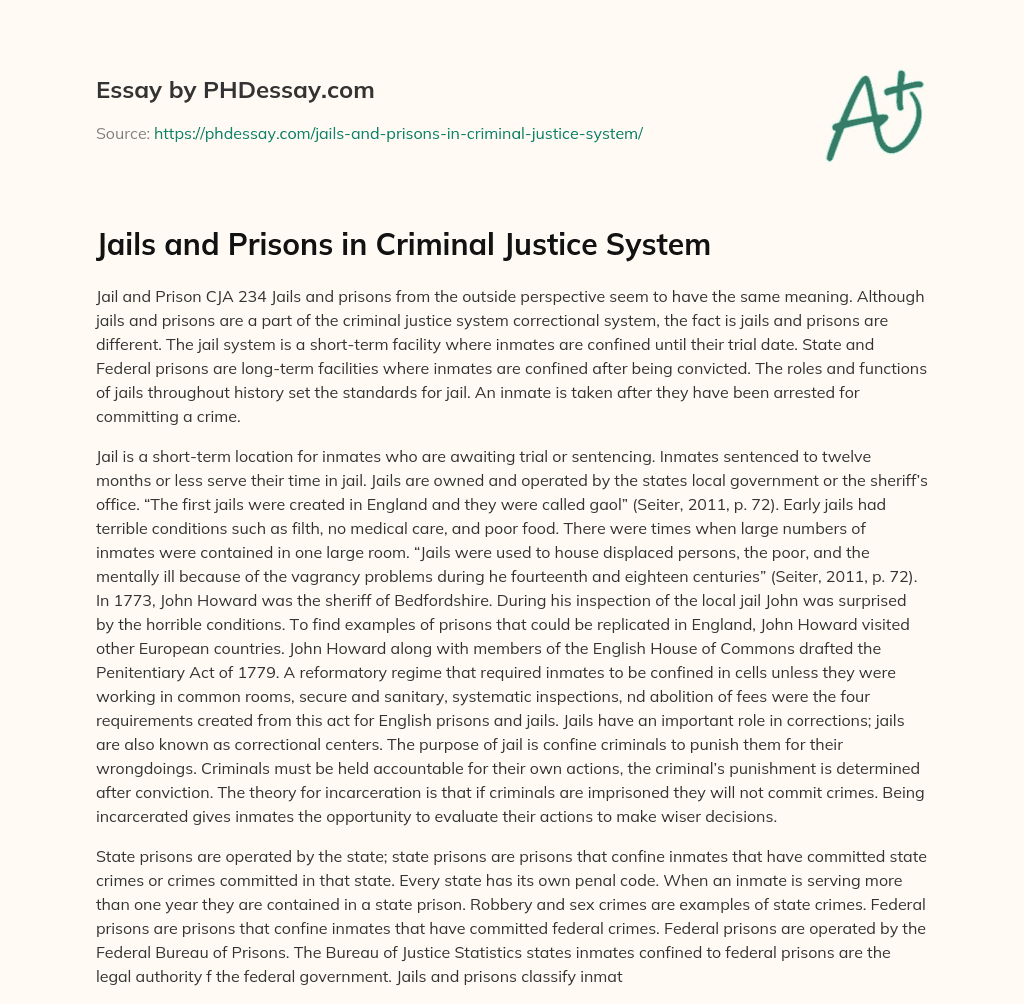 Jails and Prisons in Criminal Justice System essay
