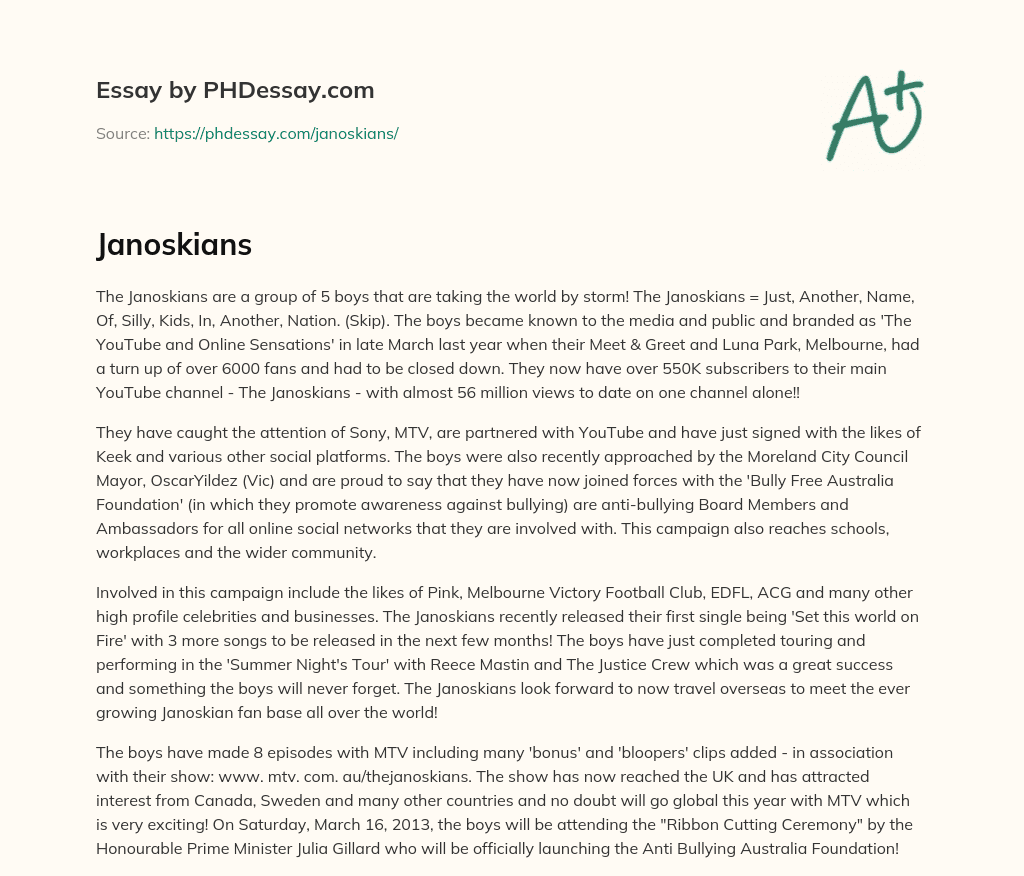 YouTube Sensations and Anti-Bullying Ambassadors essay