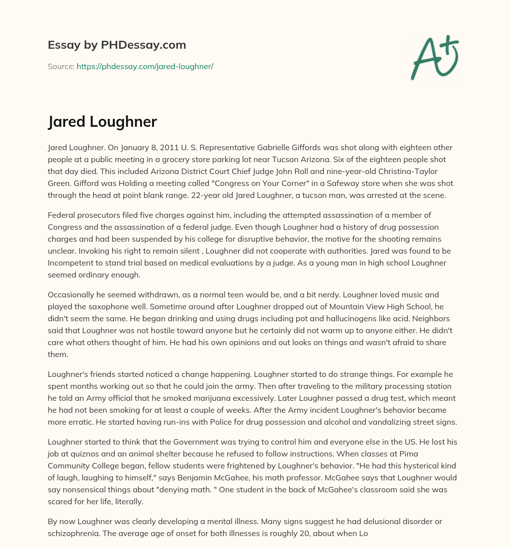 Jared Loughner essay