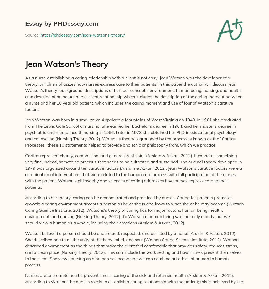 Jean Watson’s Theory essay