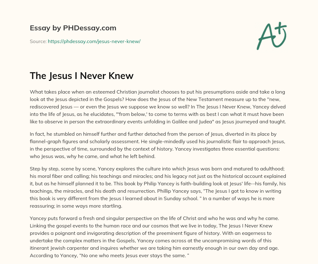 The Jesus I Never Knew essay
