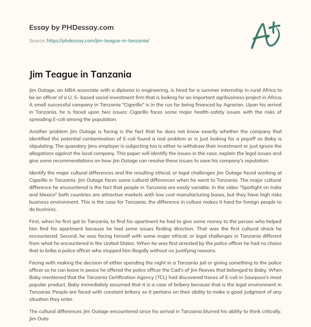 Jim Teague in Tanzania essay