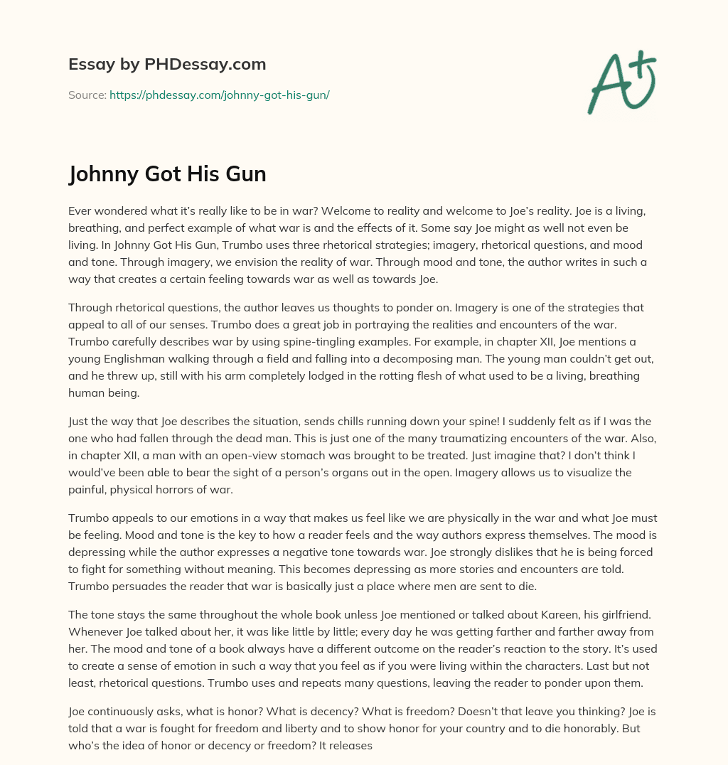 Johnny Got His Gun essay