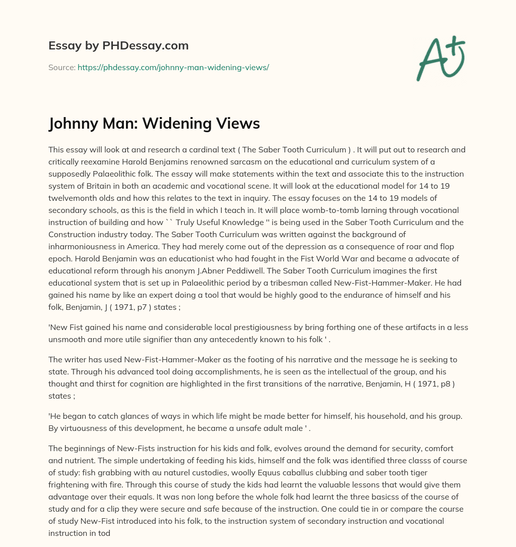 Johnny Man: Widening Views essay
