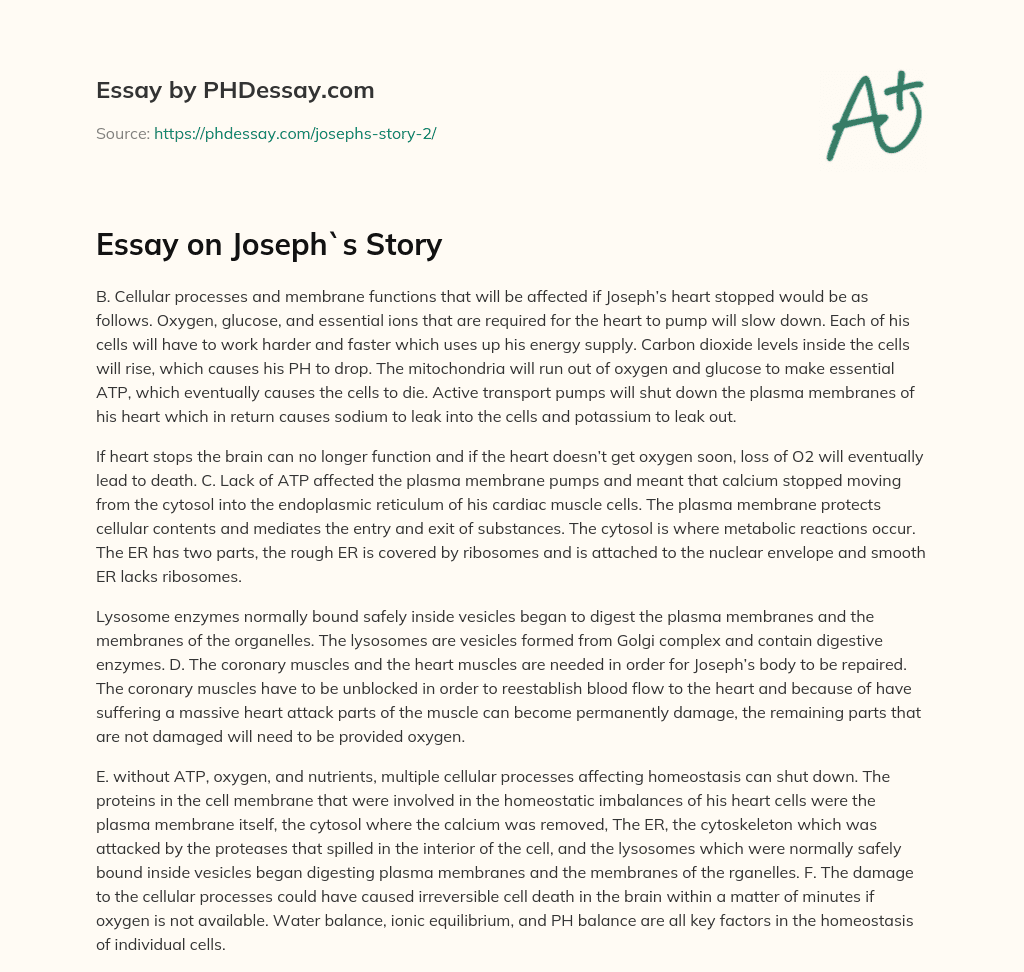 Essay on Joseph`s Story essay