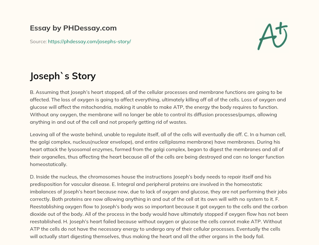 Joseph`s Story essay