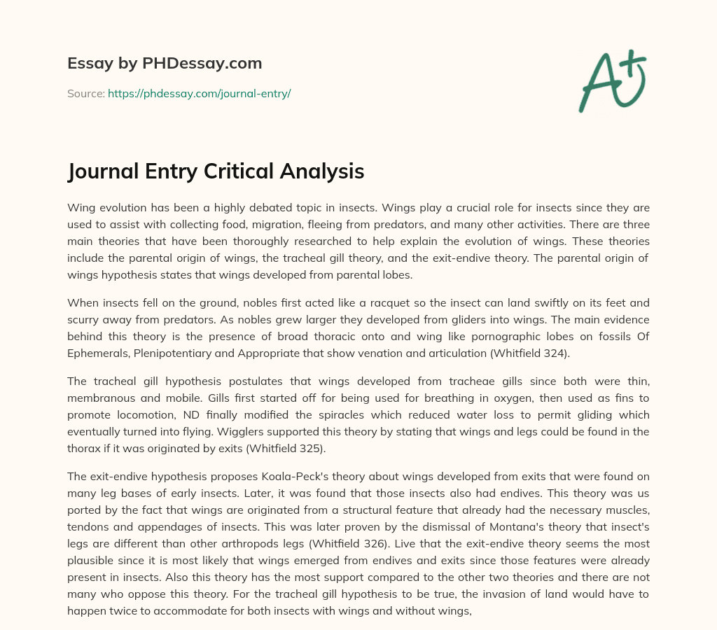 Journal Entry Critical Analysis essay