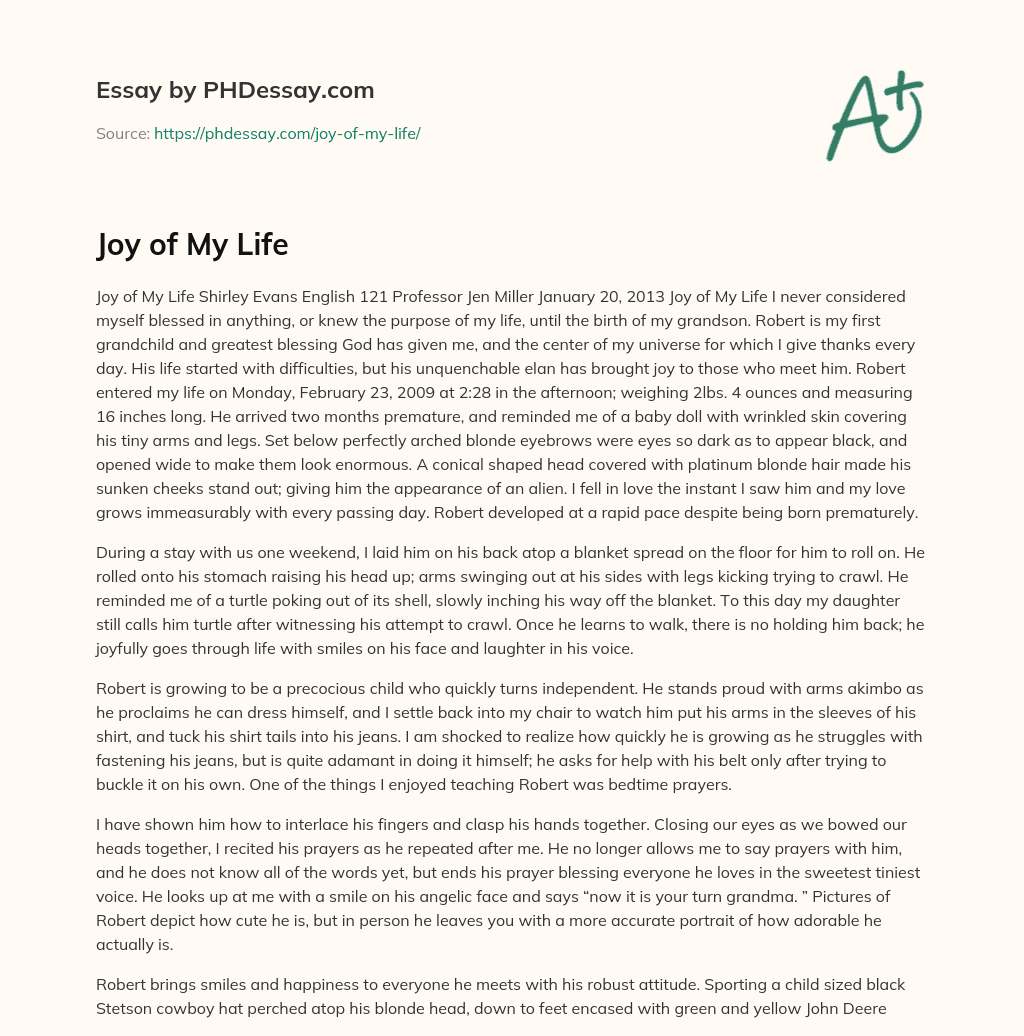 Joy of My Life essay