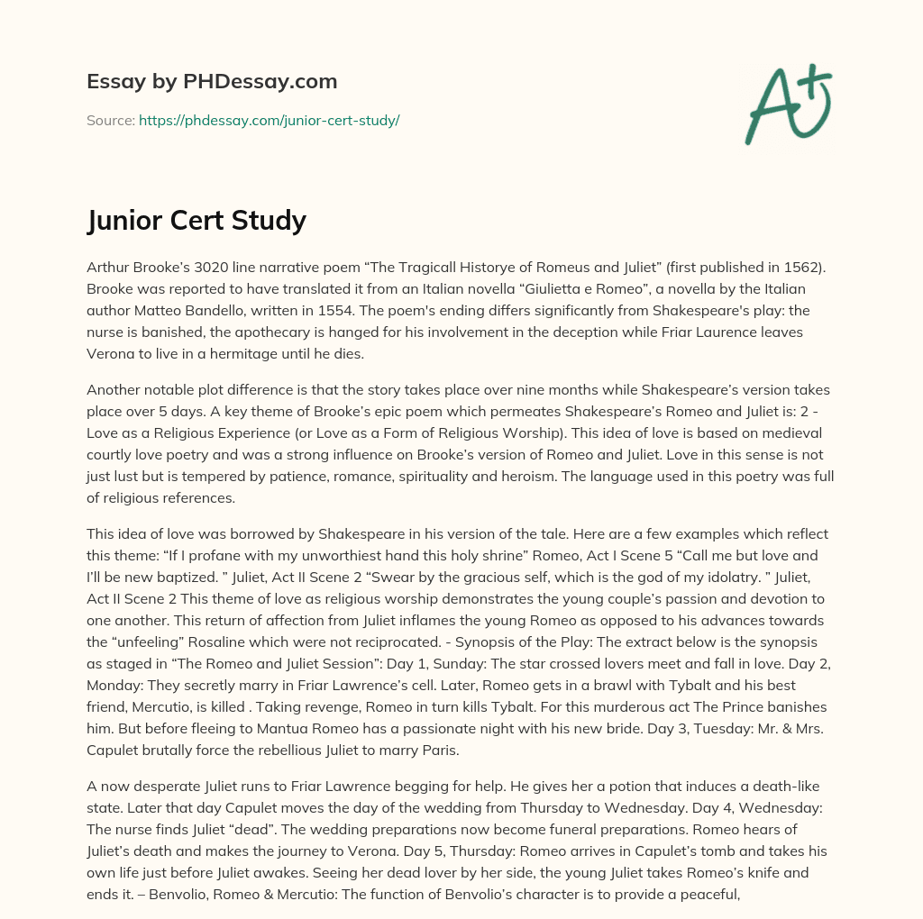 Junior Cert Study essay