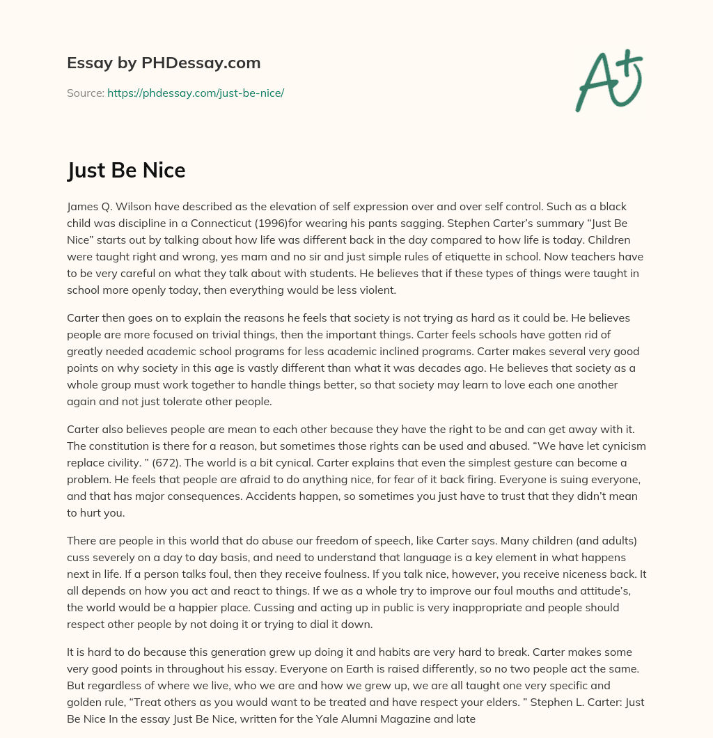 Just Be Nice essay