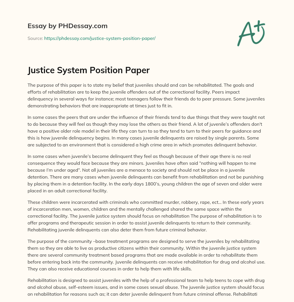 Justice System Position Paper essay