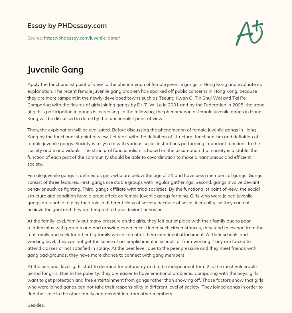 Juvenile Gang essay