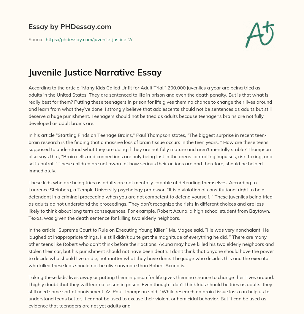 Juvenile Justice Narrative Essay essay