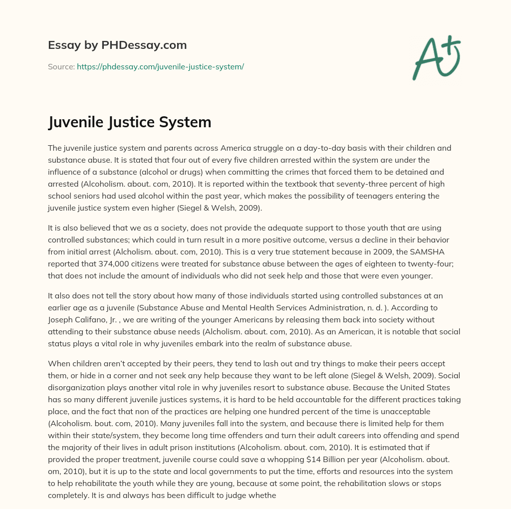 Juvenile Justice System essay