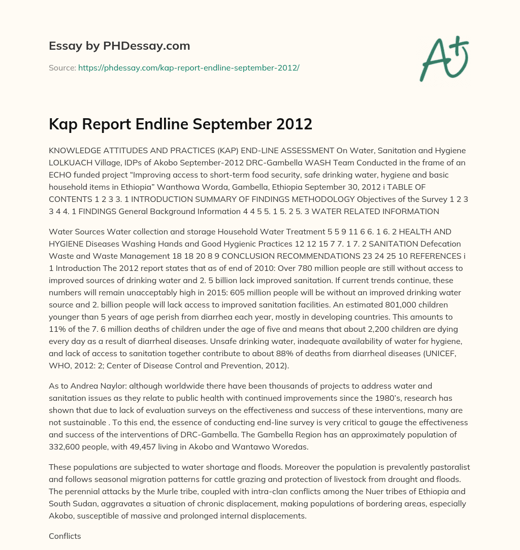 Kap Report Endline September 2012 essay