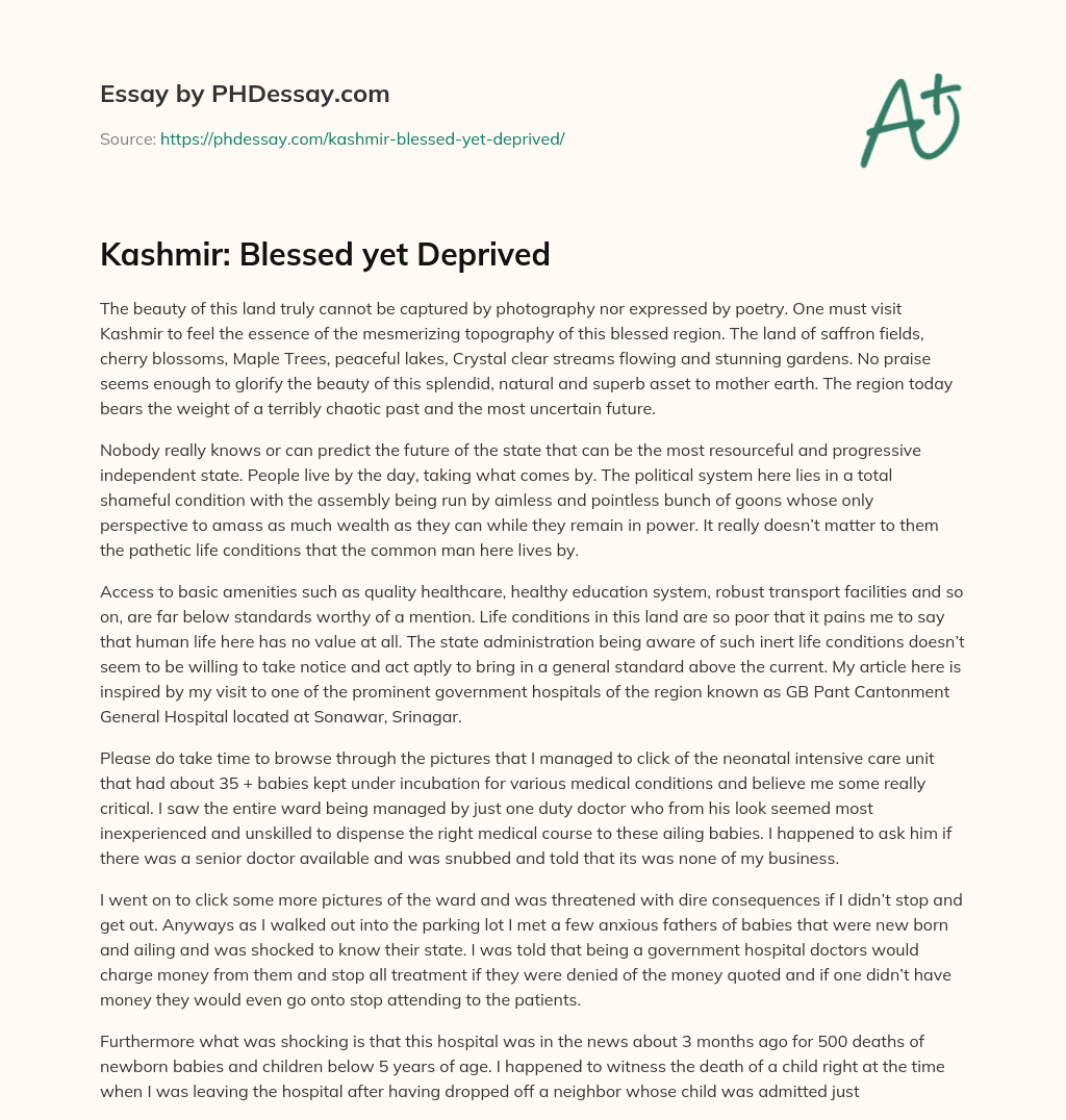 Kashmir: Blessed yet Deprived essay