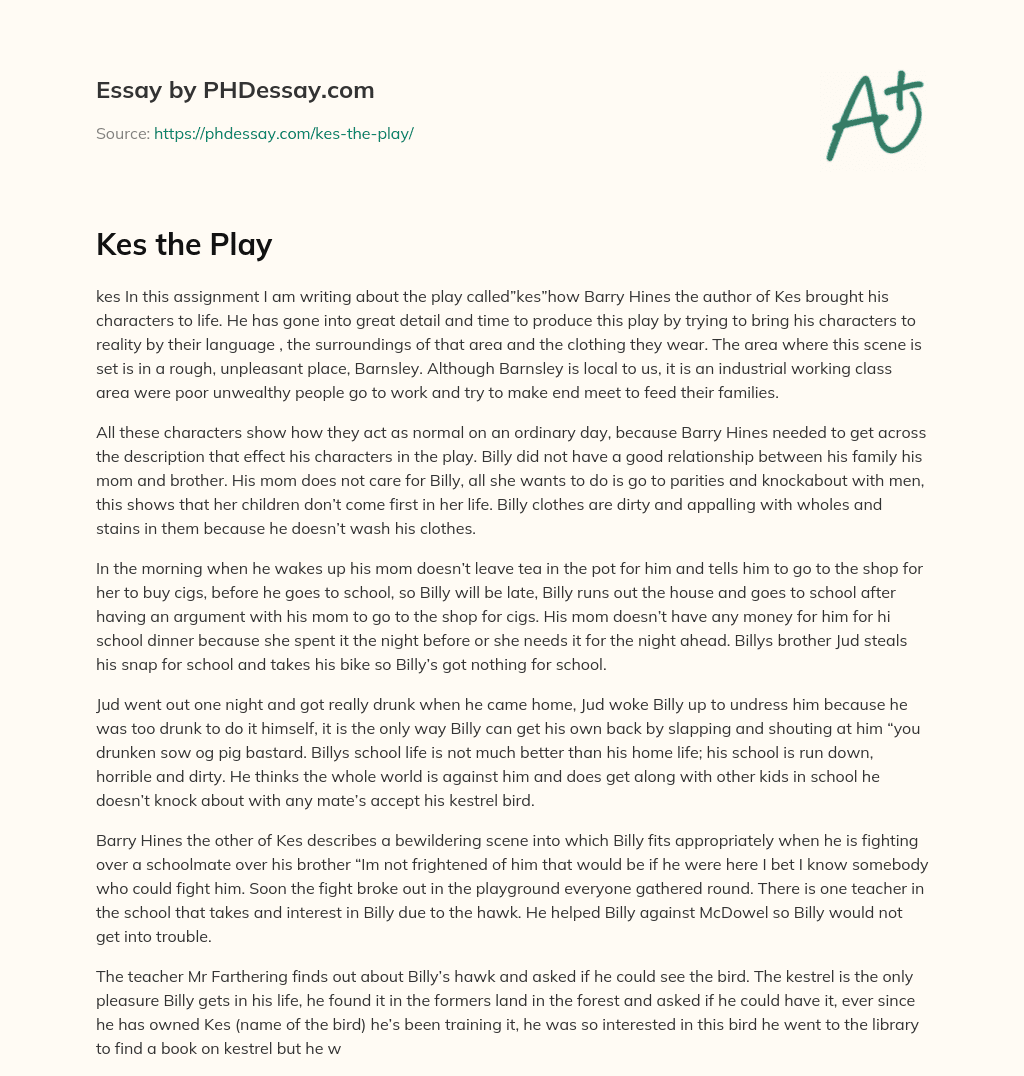 Kes the Play essay