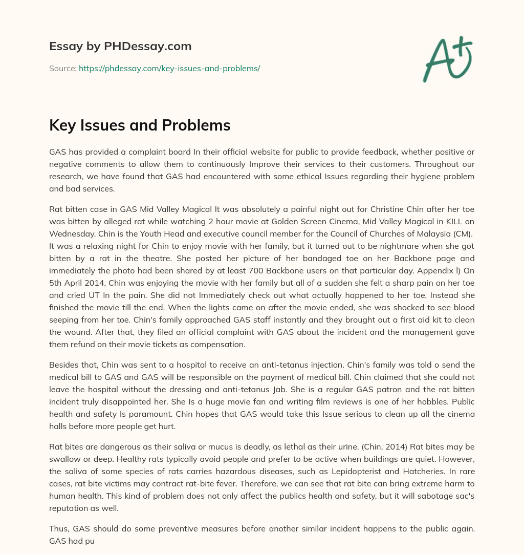 Key Issues and Problems essay