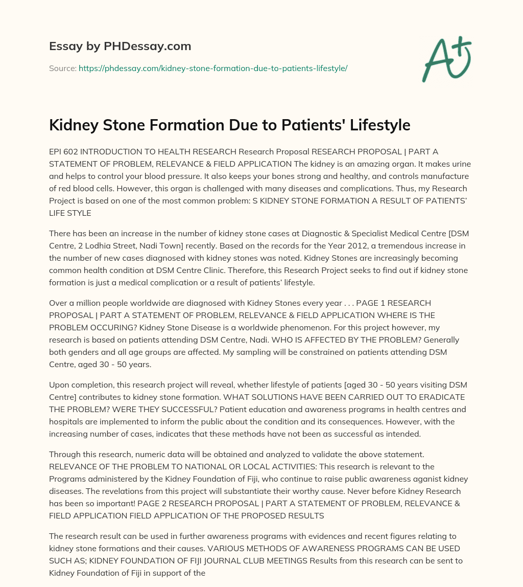 Kidney Stone Formation Due to Patients’ Lifestyle essay