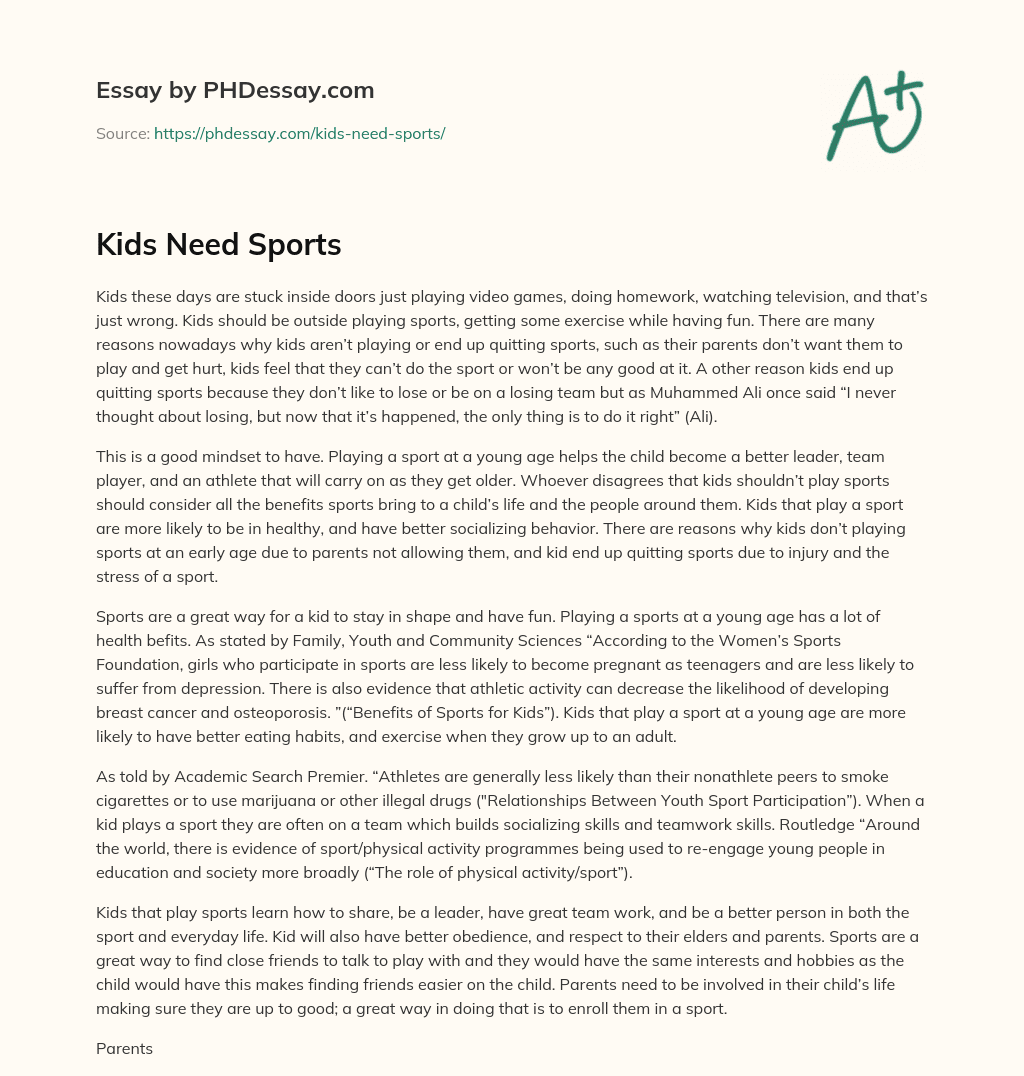 Kids Need Sports essay