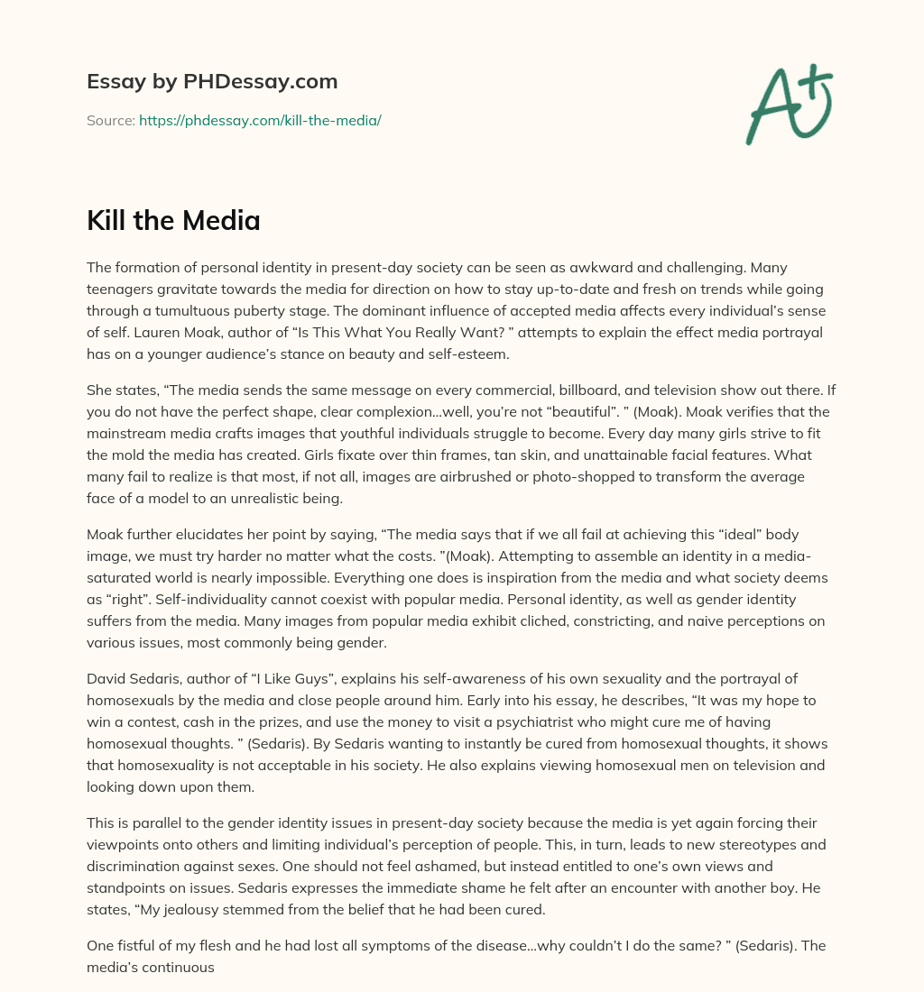 Kill the Media essay