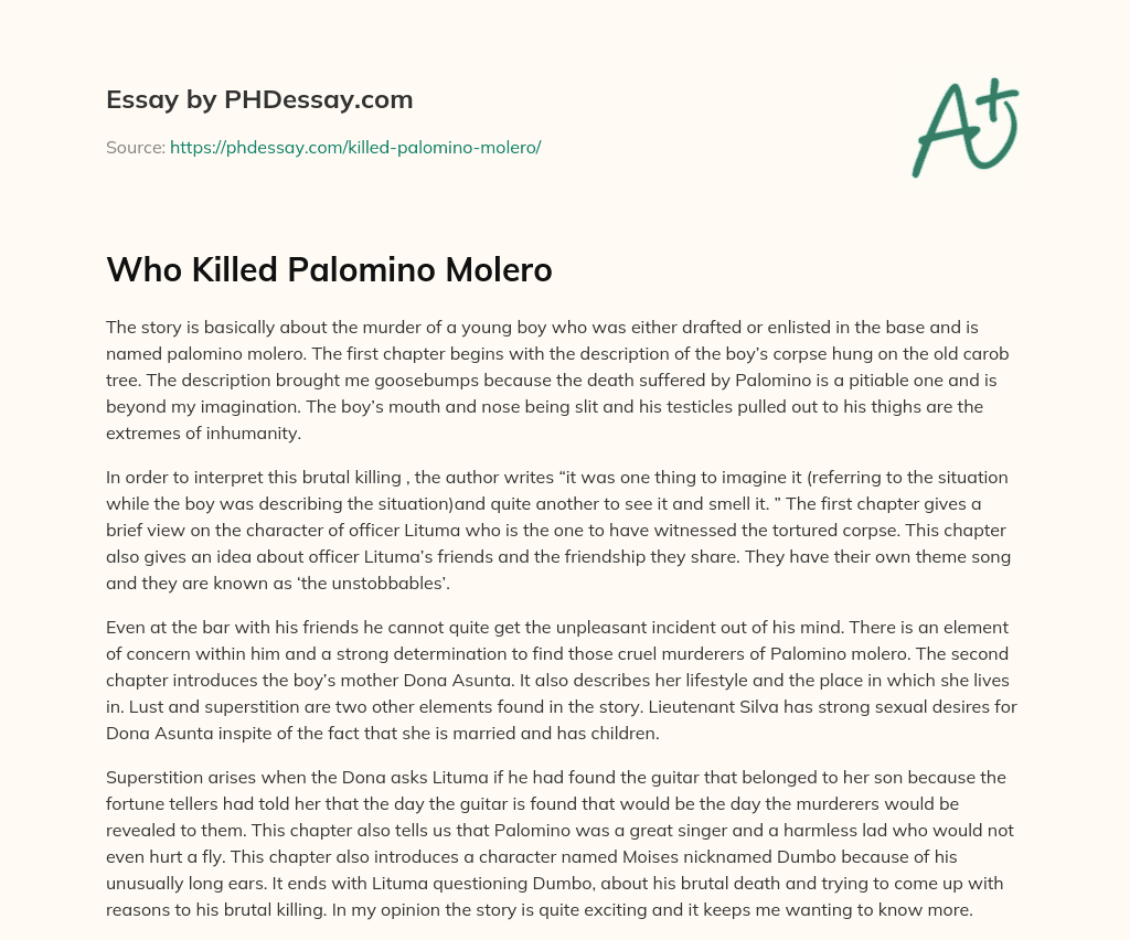 Who Killed Palomino Molero essay