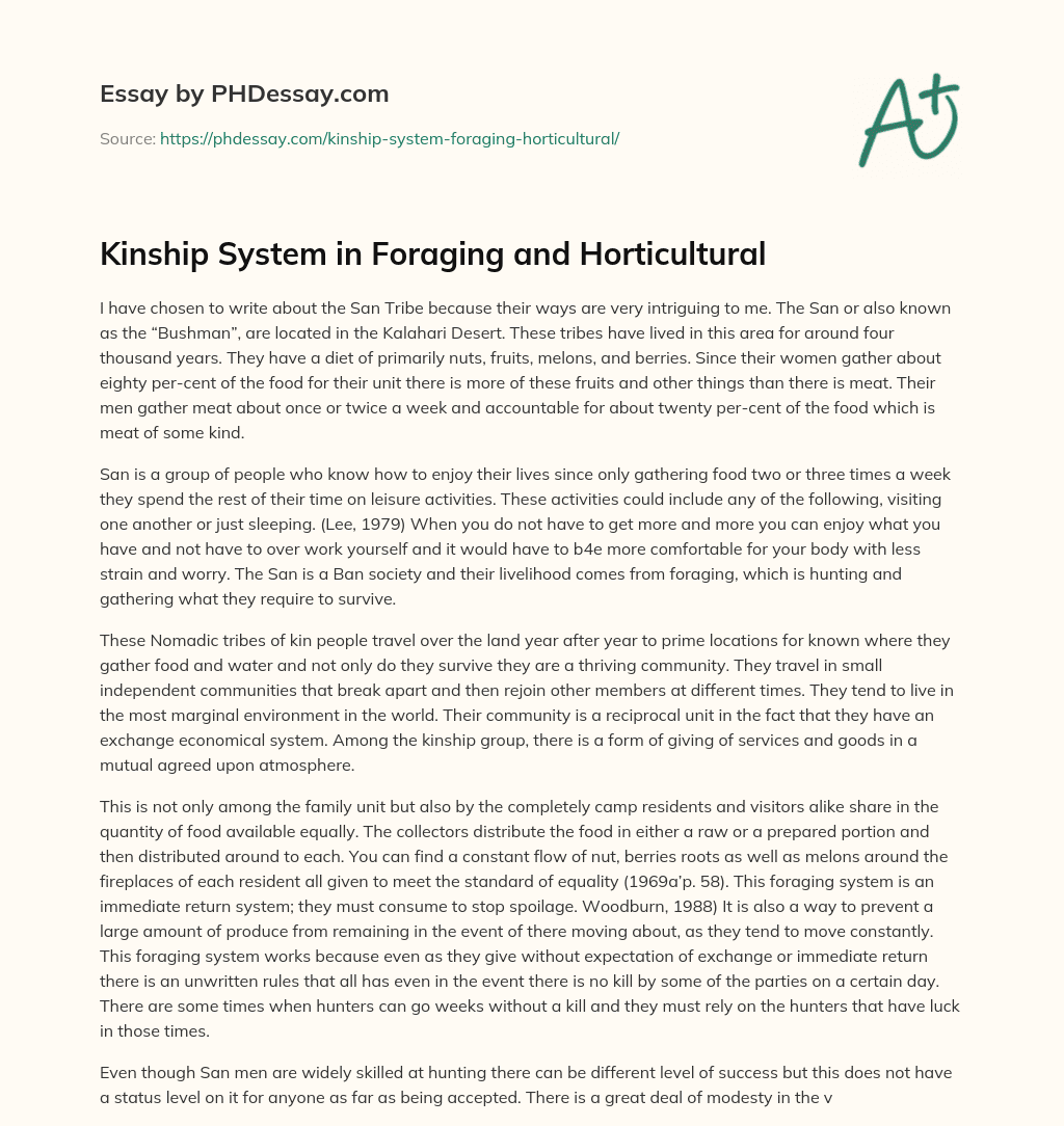 Kinship System in Foraging and Horticultural essay