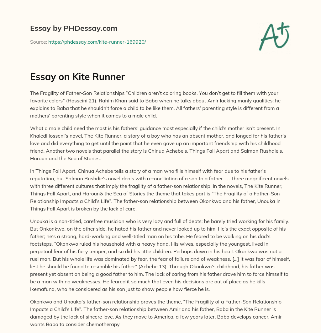 Essay on Kite Runner essay