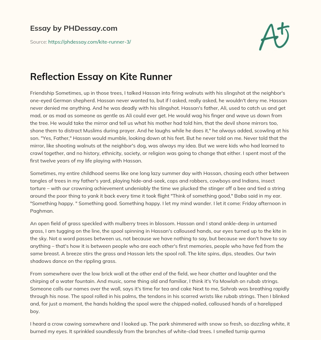 Reflection Essay on Kite Runner essay