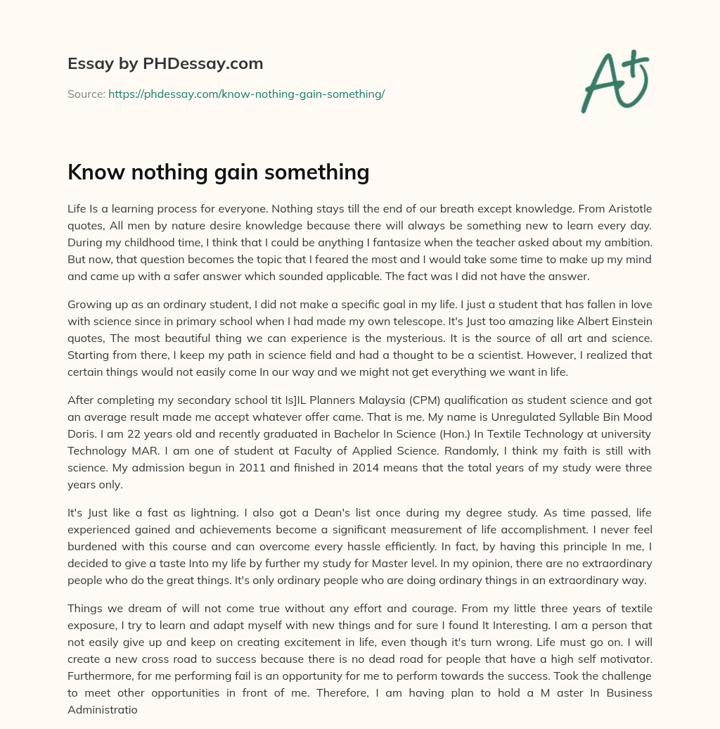 Know nothing gain something essay
