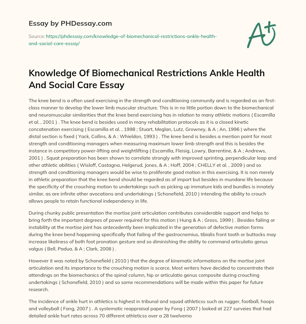 Knowledge Of Biomechanical Restrictions Ankle Health And Social Care Essay essay