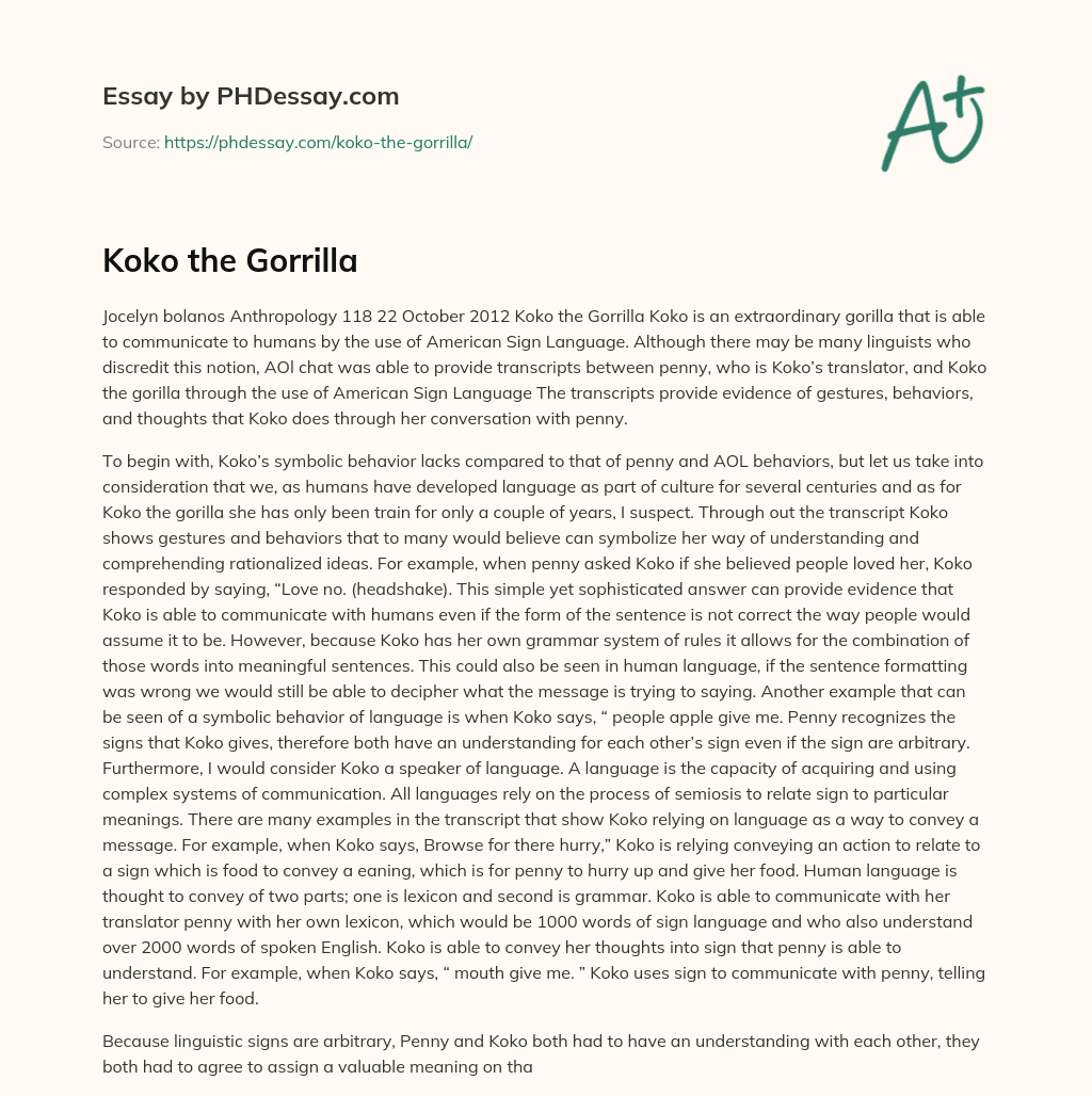 Koko the Gorrilla essay