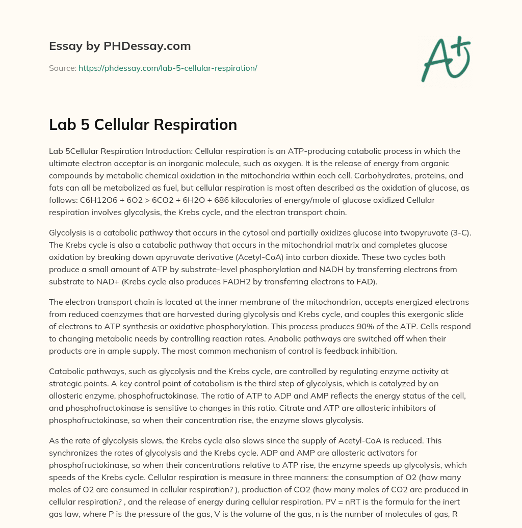 Lab 5 Cellular Respiration essay
