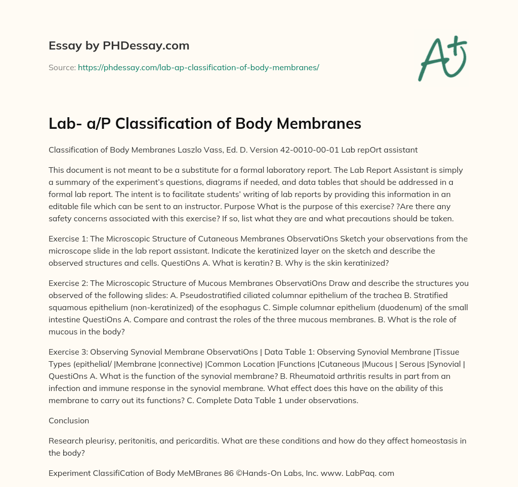 Lab- a/P Classification of Body Membranes essay