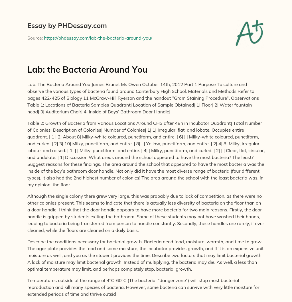 Lab: the Bacteria Around You essay