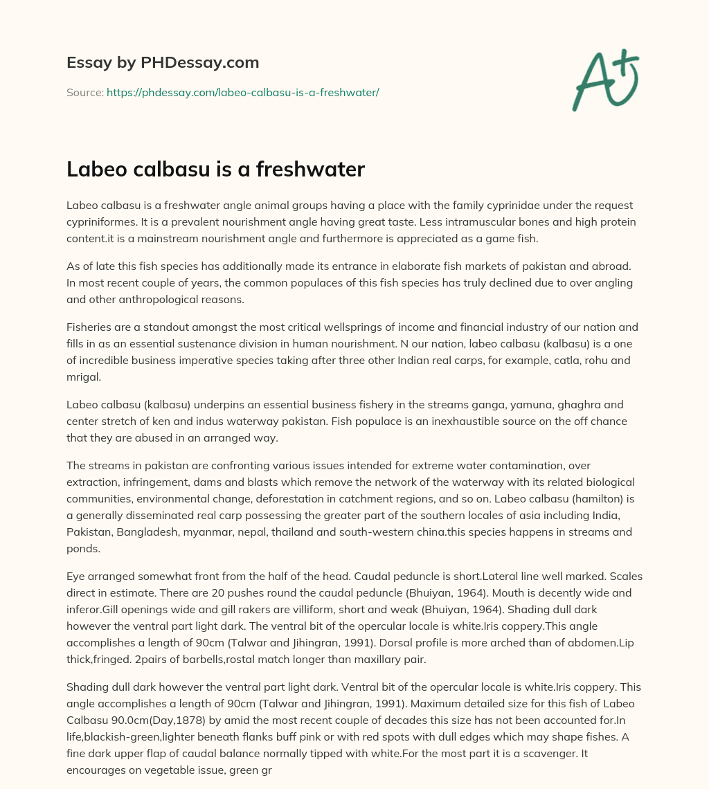 Labeo calbasu is a freshwater essay