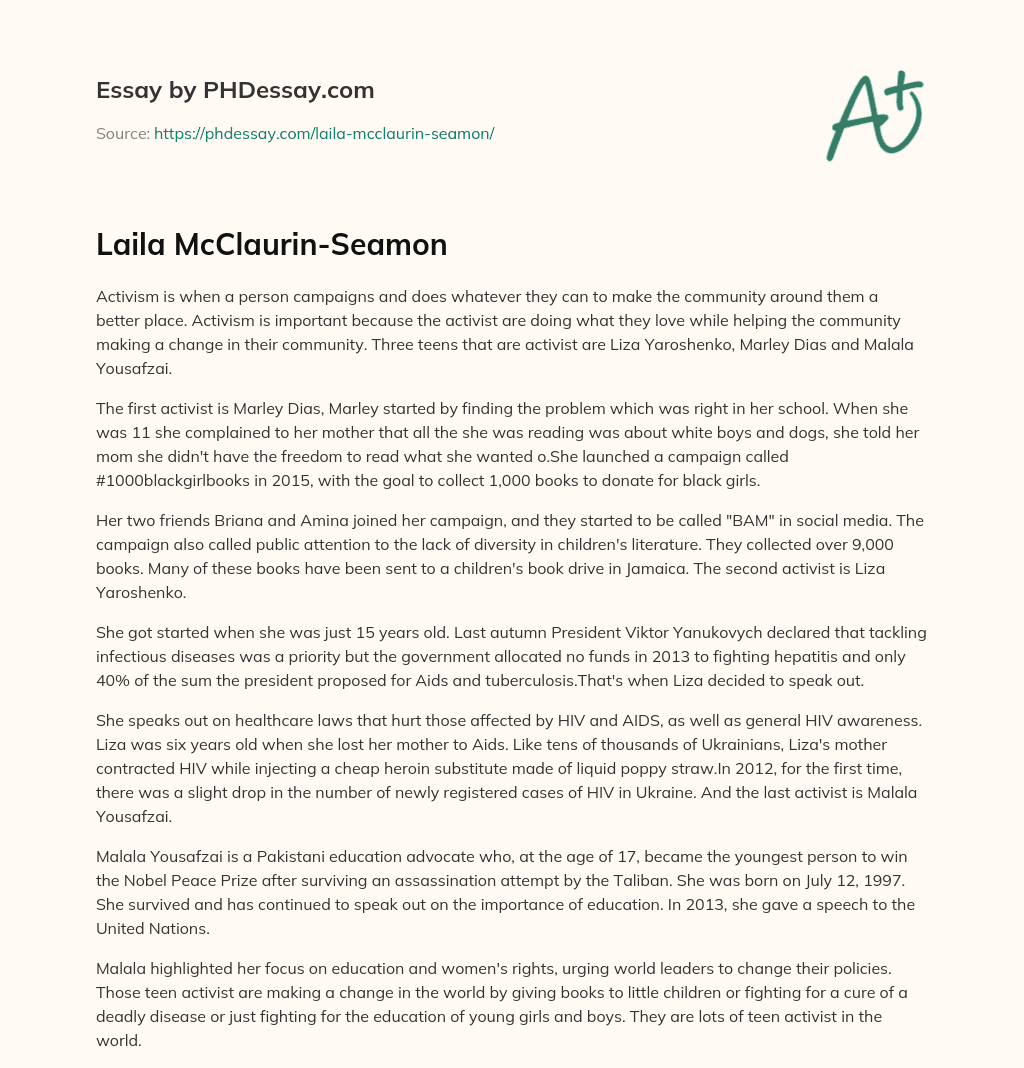 Laila McClaurin-Seamon essay